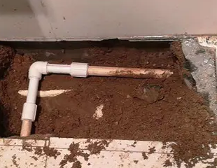 冷水江测漏水哪家好