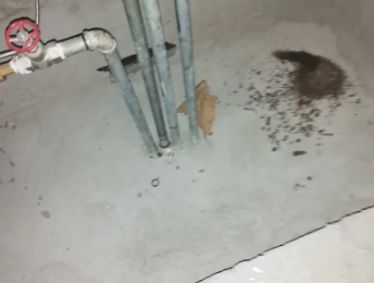 冷水江卫生间测漏水价格明细