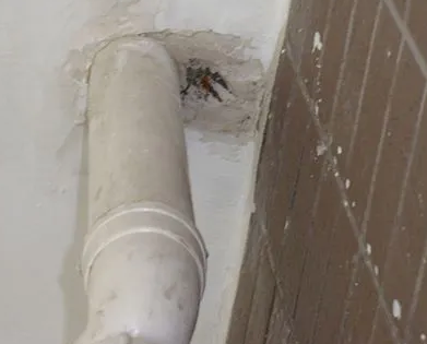 冷水江漏水检测哪家好